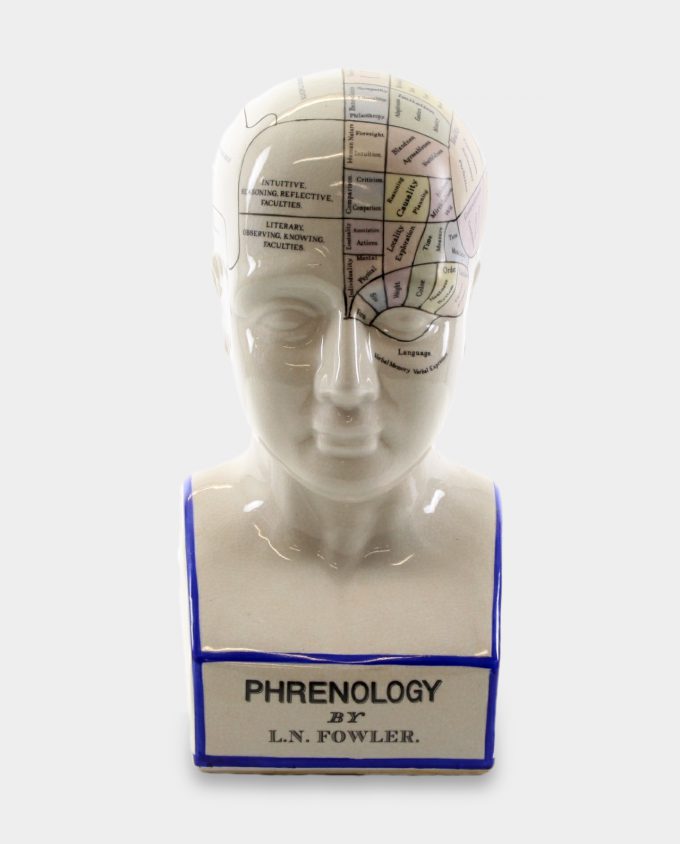 Porcelain Phrenology Medical Head