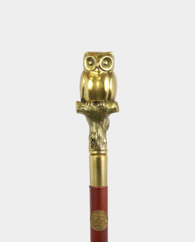 Bronze Handled Walking Stick with Owl