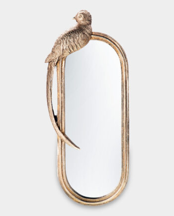Oblong Oval Mirror Gold Frame Brid