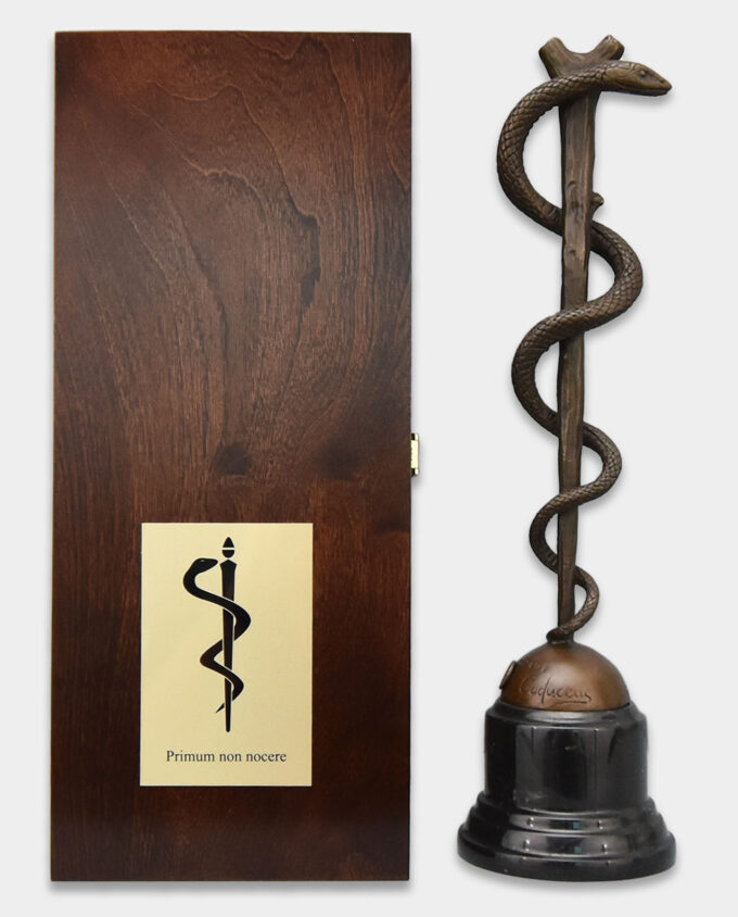 Rod of Asclepius Bronze Sculpture in Gift Box with Dedication Gift for Doctor