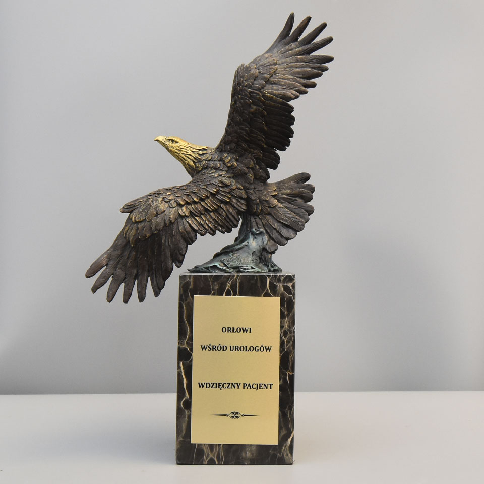 Bronze Sculpture Soaring Eagle A Gift for a Urologist from a Grateful Patient with a Dedication